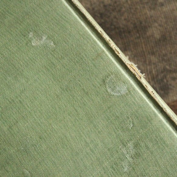 Vintage Antique 1910s Book, "Mother Carey's Chickens", by Kate Douglas Wiggin, - Picture 6 of 16